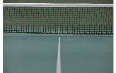 62 Pongiste janvier 2017